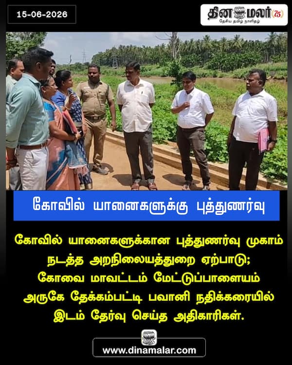 கோவில் யானைகளுக்கு புத்துணர்வு 