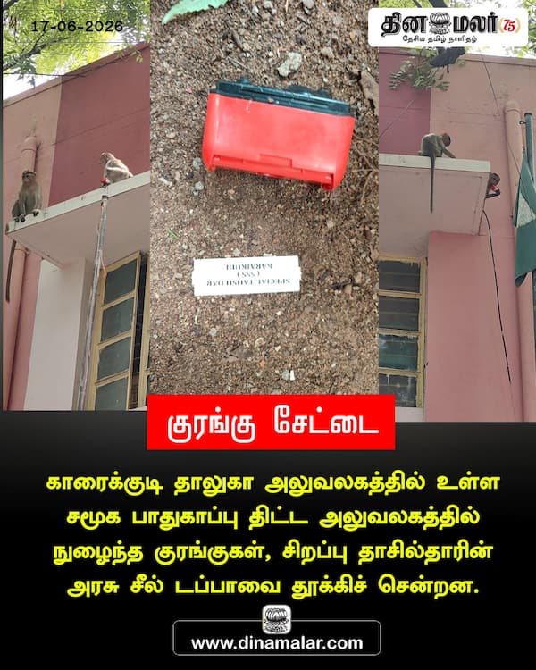 குரங்கு சேட்டை 