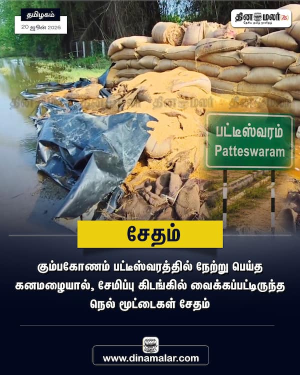 சேதம் 