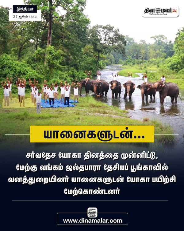 யானைகளுடன்... 