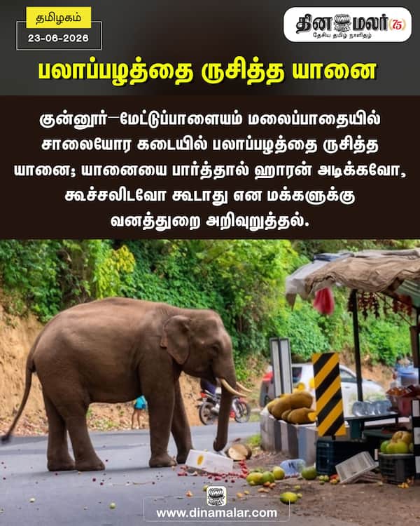 பலாப்பழத்தை ருசித்த யானை 