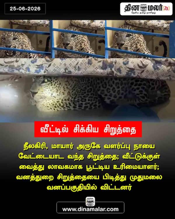 வீட்டில் சிக்கிய சிறுத்தை 