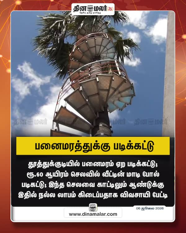 பனைமரத்துக்கு படிக்கட்டு 