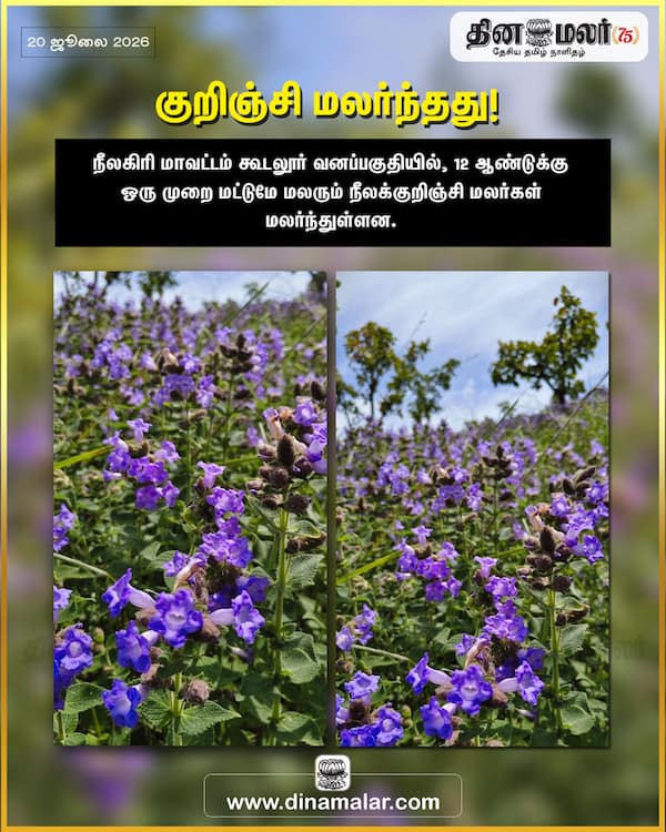குறிஞ்சி மலர்ந்தது! 