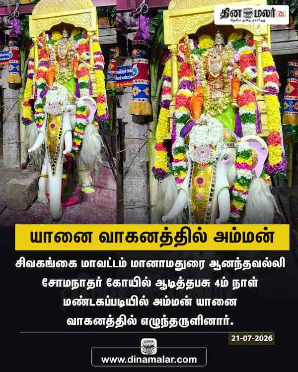 யானை வாகனத்தில் அம்மன் 