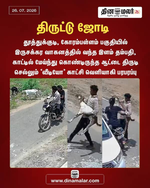 திருட்டு ஜோடி 