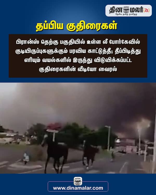 தப்பிய குதிரைகள் 