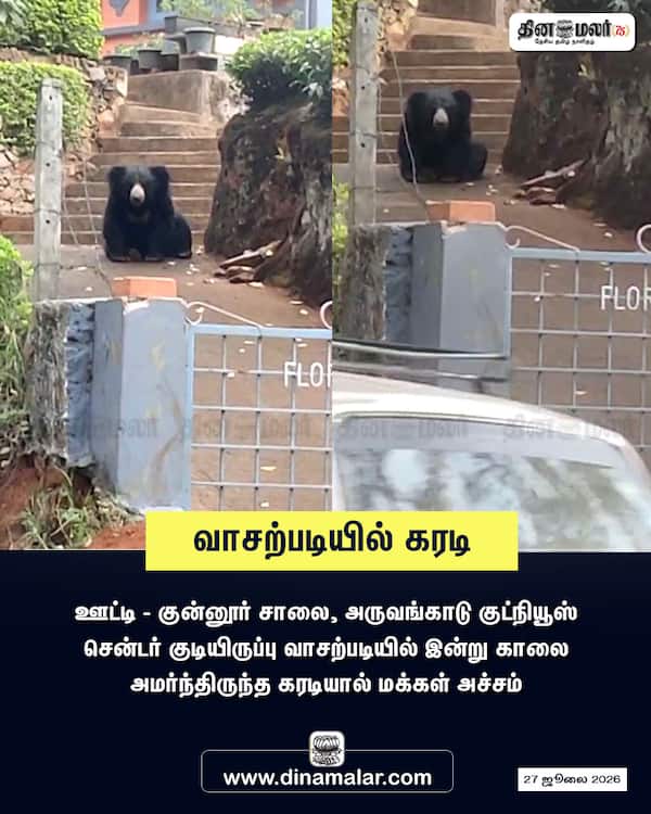 வாசற்படியில் கரடி 