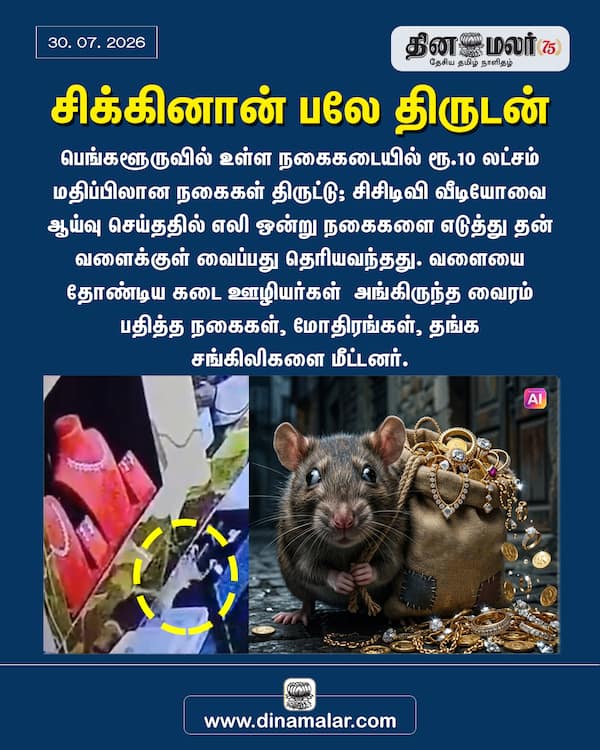 சிக்கினான் பலே திருடன் 