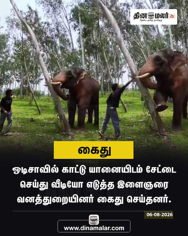  கைது 