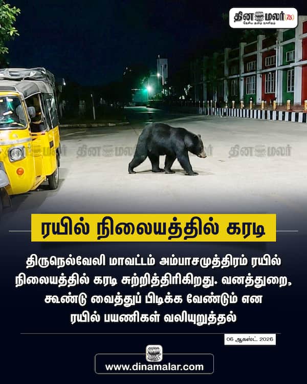 ரயில் நிலையத்தில் கரடி 