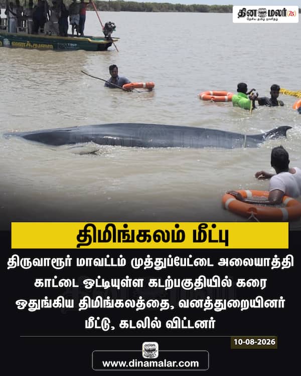 திமிங்கலம் மீட்பு 