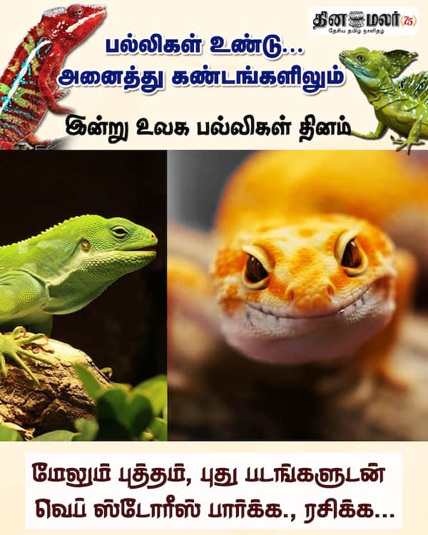 பல்லிகள் உண்டு... அனைத்து கண்டங்களிலும் 