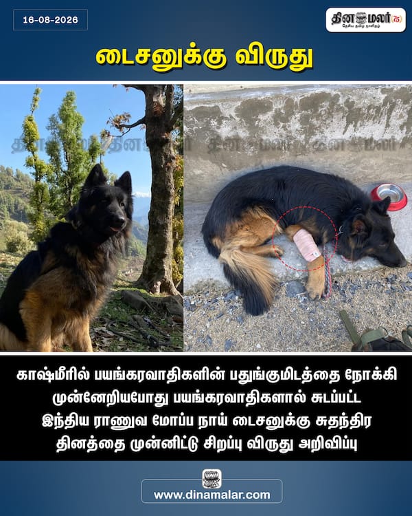 டைசனுக்கு விருது 