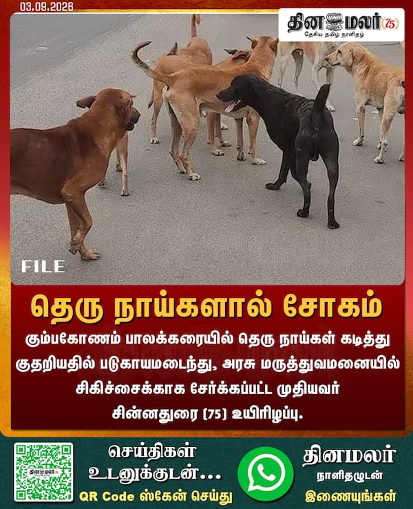 தெரு நாய்களால் சோகம் 