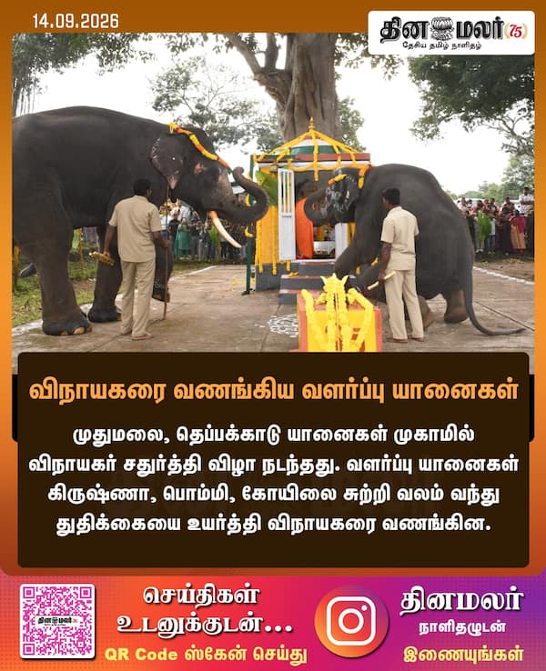 விநாயகரை வணங்கிய வளர்ப்பு யானைகள் 