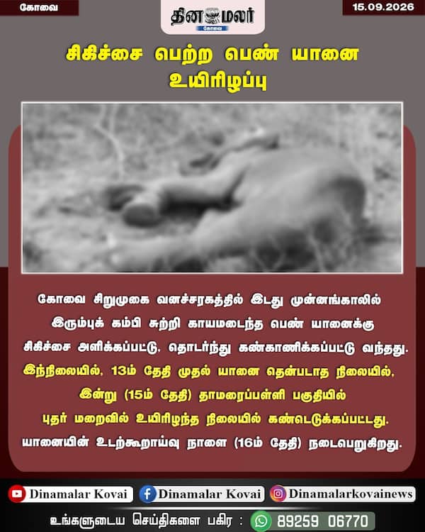 சிகிச்சை பெற்ற பெண் யானை உயிரிழப்பு