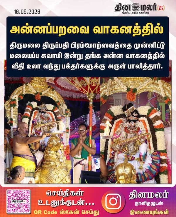 அன்னப்பறவை வாகனத்தில் 