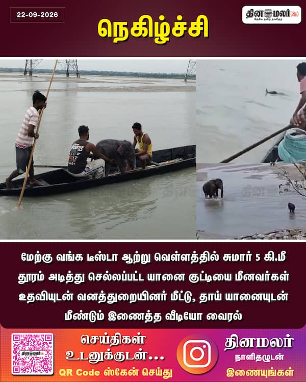 நெகிழ்ச்சி 