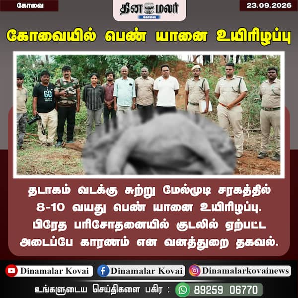 கோவையில் பெண் யானை உயிரிழப்பு