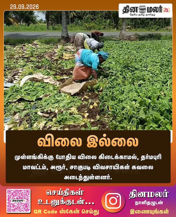 விலை இல்லை 
