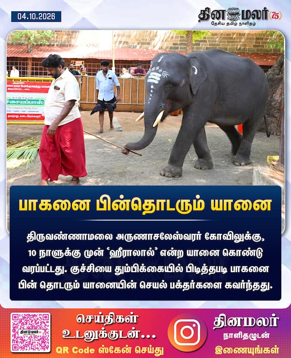 பாகனை பின்தொடரும் யானை 