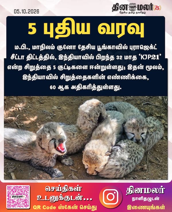 5 புதிய வரவு 