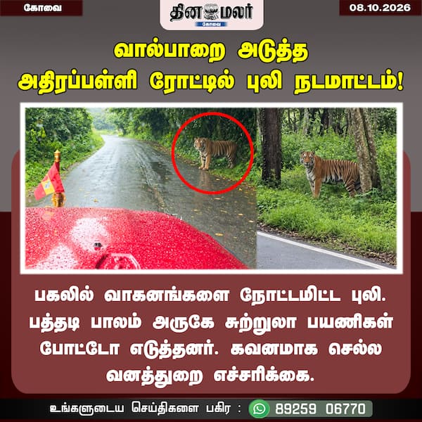 வால்பாறை அடுத்த அதிரப்பள்ளி ரோட்டில் புலி நடமாட்டம்! 