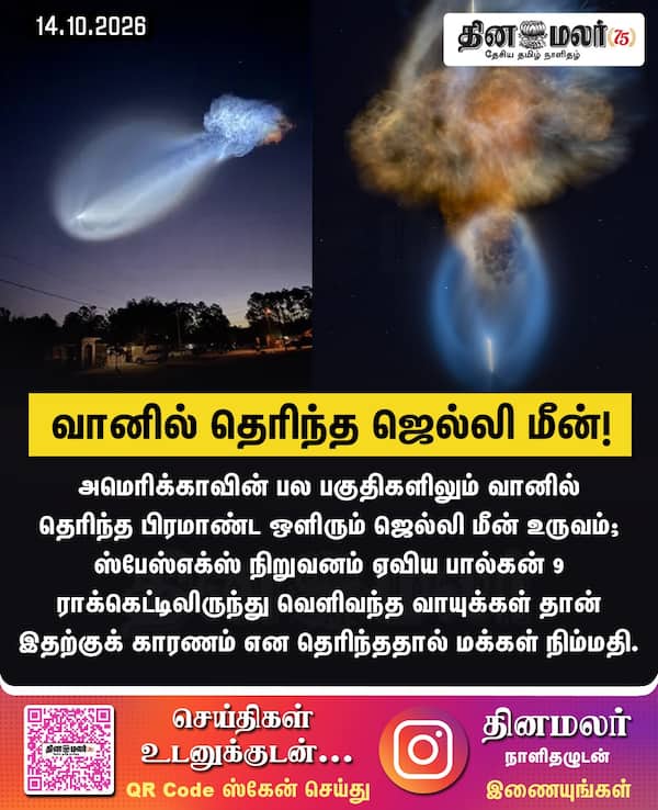 வானில் தெரிந்த ஜெல்லி மீன்! 