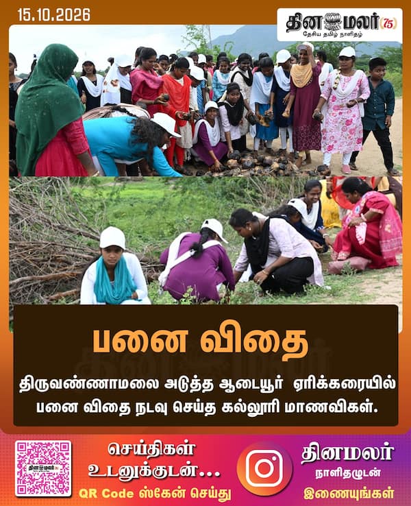 பனை விதை 
