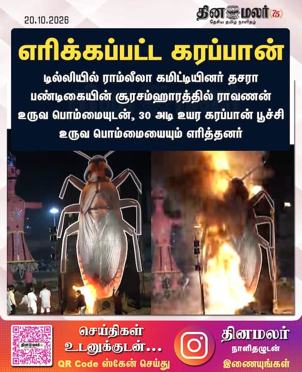 எரிக்கப்பட்ட கரப்பான் 