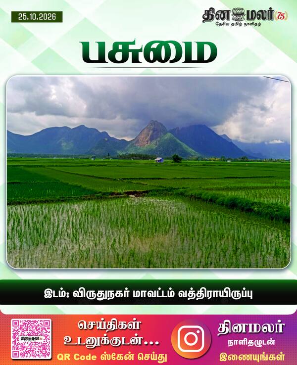 பசுமை 