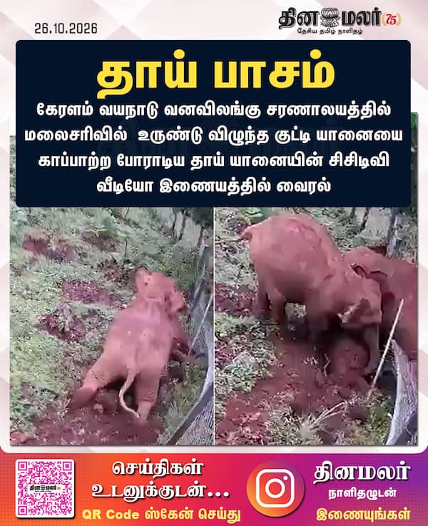 தாய் பாசம் 