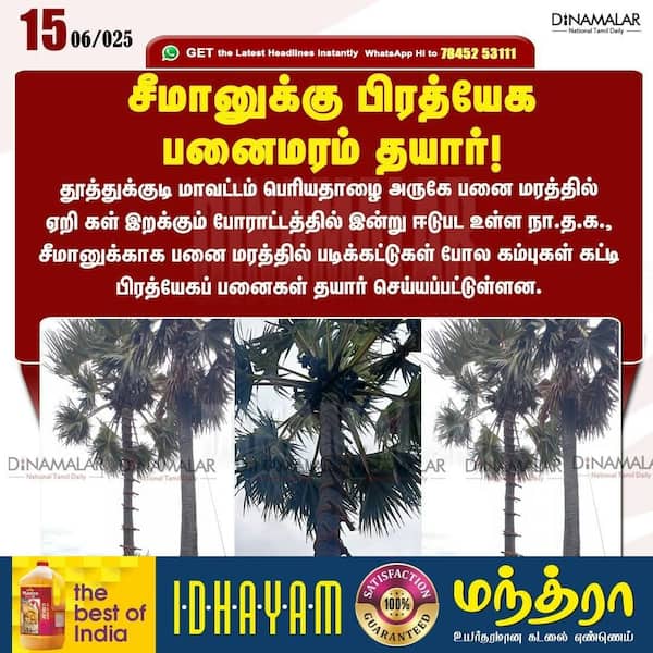 சீமானுக்கு பிரத்யேக பனைமரம் தயார்! 