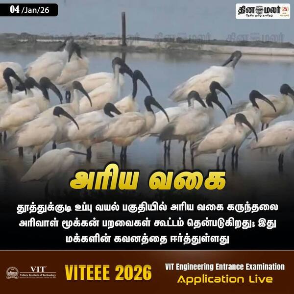 அரிய வகை 