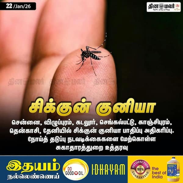 சிக்குன் குனியா 