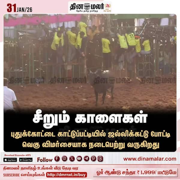 சீறும் காளைகள் 