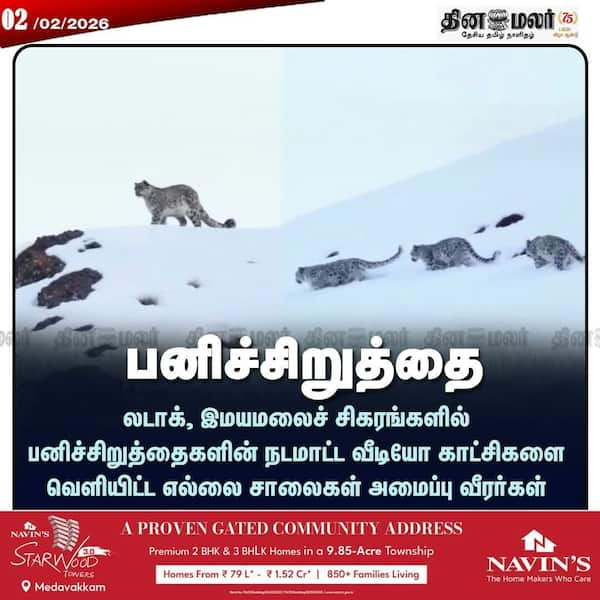 பனிச்சிறுத்தை 