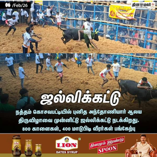 ஜல்லிக்கட்டு 