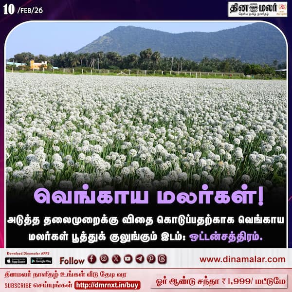 வெங்காய மலர்கள்!