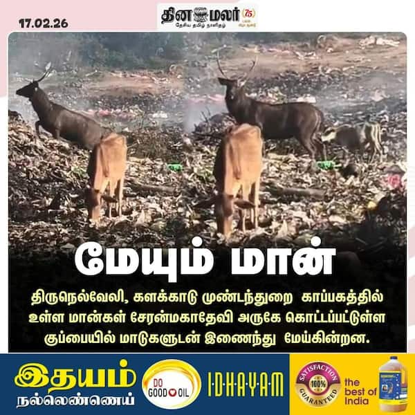 மேயும் மான் 