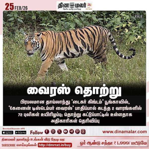 வைரஸ் தொற்று 