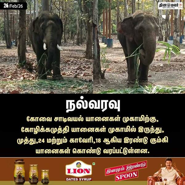 நல்வரவு 