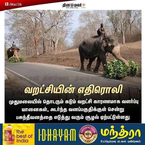 வறட்சியின் எதிரொலி 