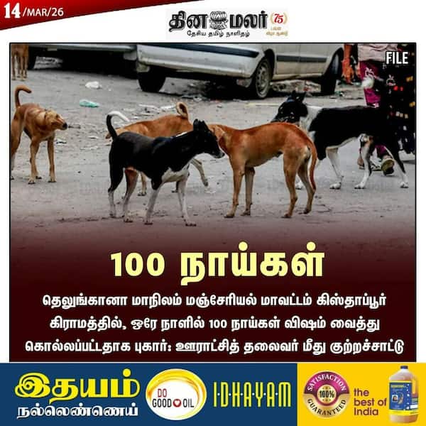 100 நாய்கள் 