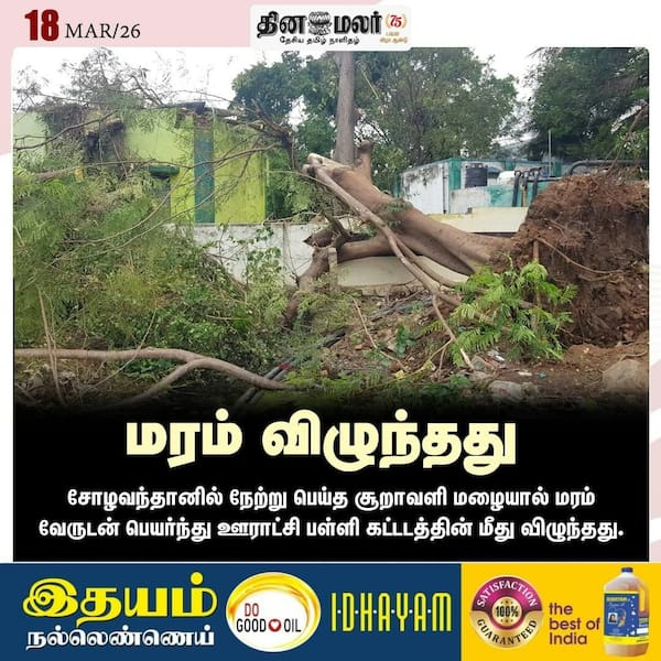 மரம் விழுந்தது 