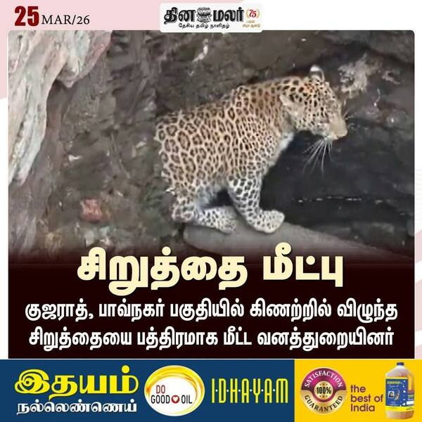சிறுத்தை மீட்பு 
