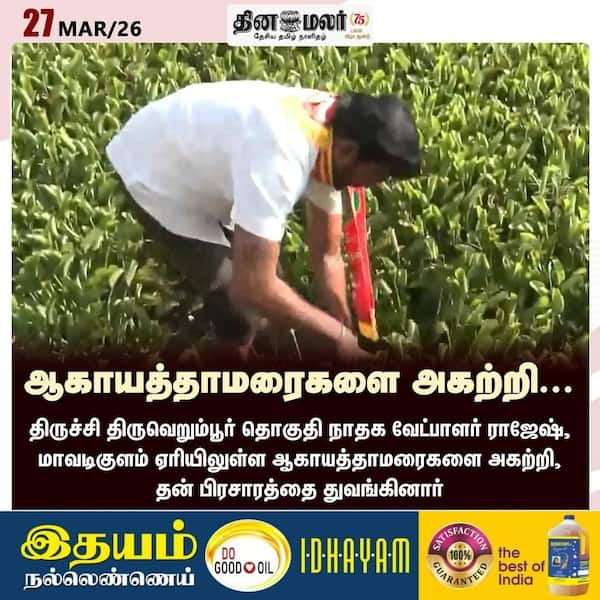 ஆகாயத்தாமரைகளை அகற்றி... 