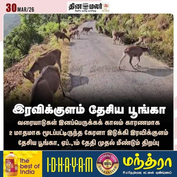 இரவிக்குளம் தேசிய பூங்கா