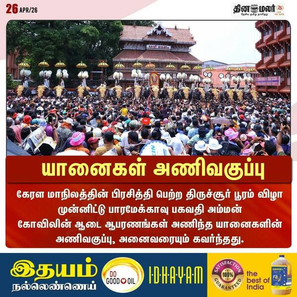 யானைகள் அணிவகுப்பு 